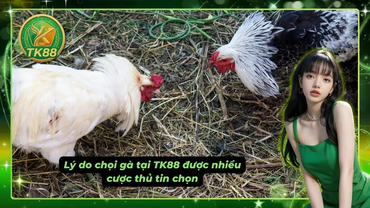 Kèo đấu cập nhật nhanh giúp bet thủ dễ đưa ra quyết định