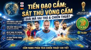 Đồ họa thông tin toàn diện giải thích Tiền đạo cắm là gì, vai trò sát thủ vòng cấm và cẩm nang chiến thuật chi tiết, bao gồm định nghĩa Poacher và Target Man, bộ kỹ năng tối thượng, sơ đồ vận hành trên sa bàn, so sánh truyền thống và hiện đại. Hình ảnh Erling Haaland, Robert Lewandowski, Harry Kane và Karim Benzema. Cung cấp bởi TK88.